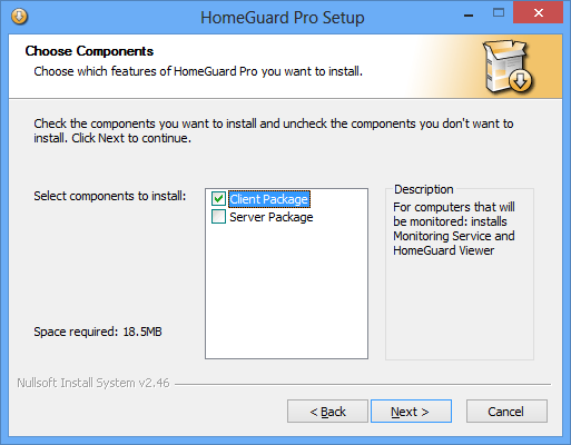 HomeGuard Pro License Key