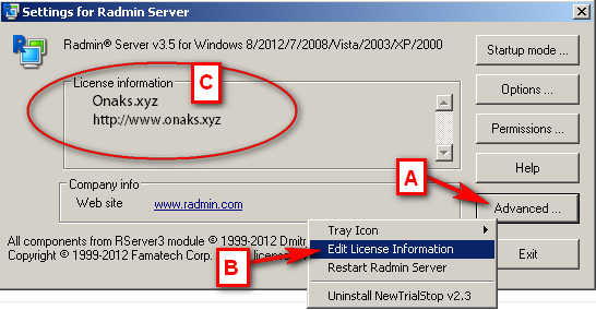 Radmin VPN License Key